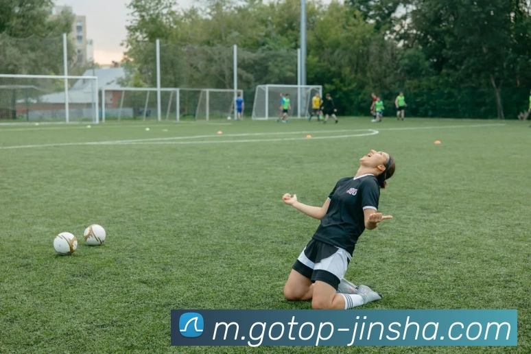 澳门金沙官网APP 封面图